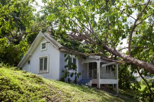 storm damage